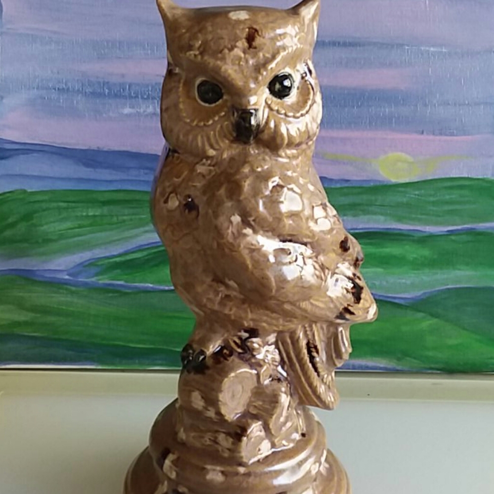 Ceramic Owl and Pear Salt and Pepper shakers.